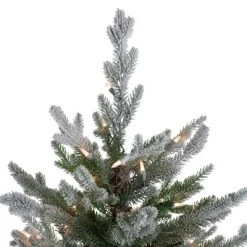 Northlight Real Touch™️ Pre-Lit Flocked Little River Fir Artificial Christmas Tree - Clear Lights - 6.5' -Outlet Xmas Decor Tree Store GUEST 42a8df7a 81c4 4bee bc00 8e2b8f540fbc