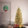 National Tree Company First Traditions Pre-Lit Slim Arcadia Cashmere Pine Hinged Artificial Christmas Tree Clear Lights -Outlet Xmas Decor Tree Store GUEST 45f24c66 e409 47ca b277 b7026da4d83a