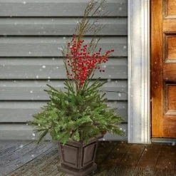 National Tree Company 48" Pre-Lit Potted Pine & Berries Artificial Plant with LED White Lights