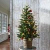 National Tree Company First Traditions 4' Pre-Lit LED Feel Real Scotch Creek Fir Potted Artificial Christmas Tree White Lights -Outlet Xmas Decor Tree Store GUEST 48439de1 dfa1 4992 ad4b 40f7a9de4b6a