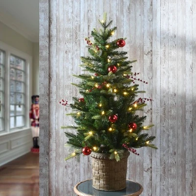 National Tree Company First Traditions 4' Pre-Lit LED Feel Real Scotch Creek Fir Potted Artificial Christmas Tree White Lights 3 National Tree Company First Traditions 4' Pre-Lit LED Feel Real Scotch Creek Fir Potted Artificial Christmas Tree White Lights
