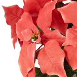 Northlight 14.5" Dark Pink Artificial Christmas Poinsettia with Gold Wrapped Base 11 Northlight 14.5" Dark Pink Artificial Christmas Poinsettia with Gold Wrapped Base -Outlet Xmas Decor Tree Store GUEST 48c7e66f a2dc 41fd 908b 37486e0997fd