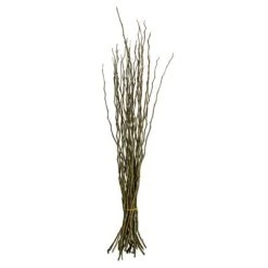 Vickerman 34-40" Moneta Branches, Dried 16oz 12 Vickerman 34-40" Moneta Branches, Dried 16oz -Outlet Xmas Decor Tree Store GUEST 48dd1271 caaa 4957 9010 9d6c650d42ab 1