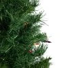 Northlight 2' Pre-Lit Medium Royal Pine Artificial Christmas Tree - Multicolor Lights 2 Northlight 2' Pre-Lit Medium Royal Pine Artificial Christmas Tree - Multicolor Lights -Outlet Xmas Decor Tree Store GUEST 49684c2f 0f7c 46c7 9486 d858537d367a