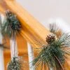 Ornativity Pinecone and Needles Garland - 6 Ft -Outlet Xmas Decor Tree Store GUEST 4a3ffaef 19f9 46f6 a202 316715dfc450
