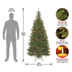 National Tree Company 6.5 ft Pre-Lit Artificial Slim Christmas Tree, Green, Aspen Spruce, Multicolor Lights, Includes Stand -Outlet Xmas Decor Tree Store GUEST 4a6bb069 deca 4516 9542 88e6217e261d