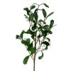 Northlight 24" White Mistletoe Berries Artificial Christmas Spray