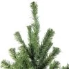 Northlight 4' Canadian Pine Medium Artificial Christmas Tree, Unlit 2 Northlight 4' Canadian Pine Medium Artificial Christmas Tree, Unlit -Outlet Xmas Decor Tree Store GUEST 4bf39548 17a2 41e6 9d85 e125b7c565b0