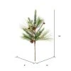 Vickerman 30" Ridgeville Pine Artificial Christmas Spray. Includes 3 sprays per pack. -Outlet Xmas Decor Tree Store GUEST 4c09dda3 ac8d 475c 8496 6f32f4094171