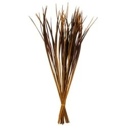 Vickerman 28"-36" Splinter Grass Bundle, 22oz Dried 15 Vickerman 28"-36" Splinter Grass Bundle, 22oz Dried -Outlet Xmas Decor Tree Store GUEST 4ea53a74 f1ad 4b04 ab78 8c17fda597ca