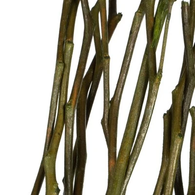 Vickerman 34-40" Moneta Branches, Dried 16oz 4 Vickerman 34-40" Moneta Branches, Dried 16oz - Image 2