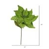 Vickerman 22" Poinsettia Aritificial Christmas Pick 2 Vickerman 22" Poinsettia Aritificial Christmas Pick -Outlet Xmas Decor Tree Store GUEST 51b83f06 37ba 423d b288 a7fdc61eae75