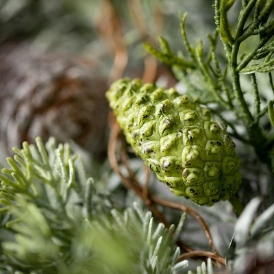 28.5"H Sullivans Frosted Cedar & Pinecone Spray, Green 3 28.5"H Sullivans Frosted Cedar & Pinecone Spray, Green