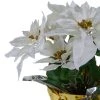 Northlight 17" Potted White Artificial Poinsettia Christmas Arrangement 2 Northlight 17" Potted White Artificial Poinsettia Christmas Arrangement -Outlet Xmas Decor Tree Store GUEST 526350c5 08cb 43fd 8b8d 38a6507111eb