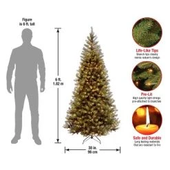 National Tree Company 6 ft Pre-Lit Artificial Slim Christmas Tree, Green, Aspen Spruce, White Lights, Includes Stand -Outlet Xmas Decor Tree Store GUEST 5344df14 9e65 461c 8ecf b796b737886a