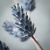 Sullivans Artificial Blue Pinecone Stem Blue 26"H -Outlet Xmas Decor Tree Store GUEST 555624e1 e38e 438f 96b6 d94ecf1dc896