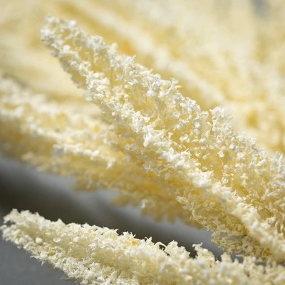 Sullivans Artificial Amaranthus Stem Cream 29"H 3 Sullivans Artificial Amaranthus Stem Cream 29"H