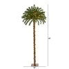 5ft Nearly Natural Pre-Lit LED Palm Artificial Christmas Tree Warm White Lights -Outlet Xmas Decor Tree Store GUEST 55a7a2de ee9d 4a25 a24b fa427a479a2c