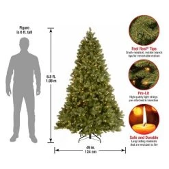 National Tree Company 6.5 ft Pre-Lit 'Feel Real' Artificial Full Downswept Christmas Tree, Green, Douglas Fir, White Lights, Includes Stand -Outlet Xmas Decor Tree Store GUEST 5957b0b3 e9ed 4ce0 8ed4 b7ad108c79ac