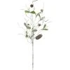 Northlight 30" Mistletoe and Pine Cone Artificial Christmas Spray -Outlet Xmas Decor Tree Store GUEST 5b54d2a8 754d 4e9a 9f6f 243738c35f4e