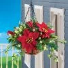Collections Etc. Collections Etc Hanging Artificial Evergreen Poinsettia and Pine Basket 12 X 12 X 17 -Outlet Xmas Decor Tree Store GUEST 5ba28530 b5c8 42aa 8dd6 bcaa3b2d99c8