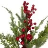 Northlight 20" Frosted Red Berry Artificial Christmas Branch Spray -Outlet Xmas Decor Tree Store GUEST 5bbe28f6 cec0 44a1 ac29 72f8eb71b7c8