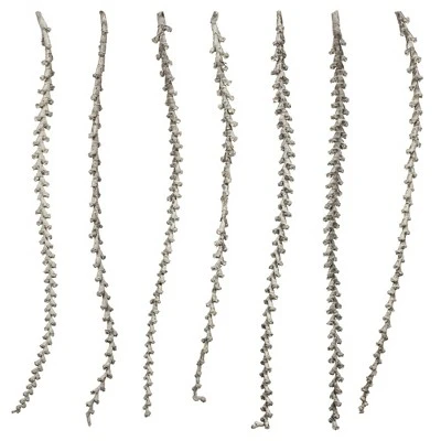 Vickerman Ladder Branches, Dried 6 Vickerman Ladder Branches, Dried - Image 4