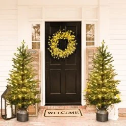 LuxenHome 4ft Pre-Lit LED Artificial Fir Christmas Tree with Silver Metal Pot -Outlet Xmas Decor Tree Store GUEST 5dd0343f b295 4c41 8265 659978a7b139