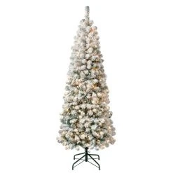 National Tree Company First Traditions Pre-Lit Medium Flocked Acacia Hinged Artificial Christmas Tree Clear Lights 9 National Tree Company First Traditions Pre-Lit Medium Flocked Acacia Hinged Artificial Christmas Tree Clear Lights -Outlet Xmas Decor Tree Store GUEST 5e063d2a 8040 4705 91f3 0376ace31d2f