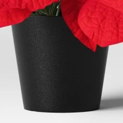 14" Potted Poinsettia Flower and Mixed Greenery with Berries Christmas Artificial Plant Arrangement - Wondershop™ 7 14" Potted Poinsettia Flower and Mixed Greenery with Berries Christmas Artificial Plant Arrangement - Wondershop™ -Outlet Xmas Decor Tree Store GUEST 5f5543b5 c703 49ff 9160 5913652b8f33