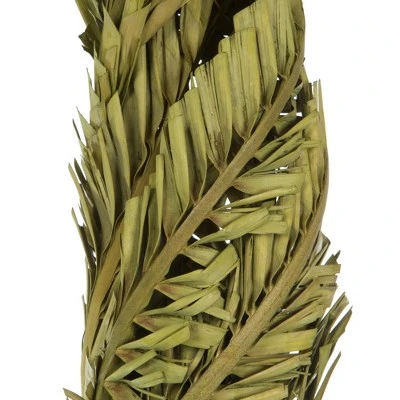 Vickerman 40-48" Twisted Coco Palm Stems, Dried 5 Vickerman 40-48" Twisted Coco Palm Stems, Dried - Image 3