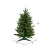 Vickerman Frasier Fir Unique Artificial Christmas Tree -Outlet Xmas Decor Tree Store GUEST 615892f0 b4f5 432a b16c 3fa8eae091dc
