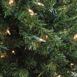 Northlight 5' Prelit Artificial Christmas Tree Medium Canadian Pine - Clear Lights 11 Northlight 5' Prelit Artificial Christmas Tree Medium Canadian Pine - Clear Lights -Outlet Xmas Decor Tree Store GUEST 620dfd81 244e 4d27 90d0 d937a587e05c 1