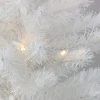 Northlight 2' Prelit Artificial Christmas Tree Snow Frosted - Clear LED Lights -Outlet Xmas Decor Tree Store GUEST 63159b3f f275 4f59 bbb1 42d514bcc771 1
