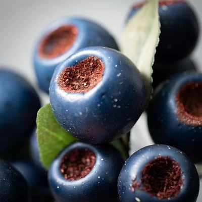 Sullivans Artificial Blue Pod Berry Stem Blue 11.5"H 3 Sullivans Artificial Blue Pod Berry Stem Blue 11.5"H