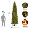 National Tree Company Tacoma Pine 12 Foot Pre-lit Slim Artificial Christmas Holiday Tree with White Lights, Metal Stand, and Easy Assembly, Green 2 National Tree Company Tacoma Pine 12 Foot Pre-lit Slim Artificial Christmas Holiday Tree with White Lights, Metal Stand, and Easy Assembly, Green -Outlet Xmas Decor Tree Store GUEST 645e90bf f135 4f08 ba02 4c81bcdee19d