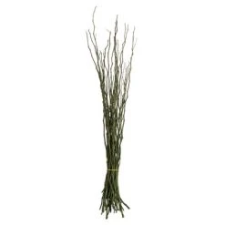 Vickerman 34-40" Moneta Branches, Dried 16oz 13 Vickerman 34-40" Moneta Branches, Dried 16oz -Outlet Xmas Decor Tree Store GUEST 64864506 9aca 47a0 b755 d571ad63b504
