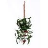 Vickerman Red Berry and Mistletoe Collection -Outlet Xmas Decor Tree Store GUEST 64cd19ed f980 41b1 9561 255a0bdd17f0