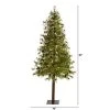 7ft Nearly Natural Pre-Lit LED Wyoming Alpine with Pinecones Artificial Christmas Tree Clear Lights -Outlet Xmas Decor Tree Store GUEST 66ed47b6 2839 47f6 bd84 5916eea1b2d9