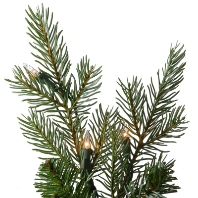 National Tree Company 3ft National Christmas Tree Company Nordic Spruce Artificial Christmas Tree 100ct Clear 3 National Tree Company 3ft National Christmas Tree Company Nordic Spruce Artificial Christmas Tree 100ct Clear