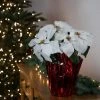 Northlight 14.5" White Artificial Christmas Poinsettia with Red Wrapped Base 2 Northlight 14.5" White Artificial Christmas Poinsettia with Red Wrapped Base -Outlet Xmas Decor Tree Store GUEST 6a314d45 7b06 40cf b09c 3d6bc3dbd5e3