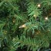 Northlight 14' Pre-Lit Full Northern Pine Artificial Christmas Tree - Clear Lights 2 Northlight 14' Pre-Lit Full Northern Pine Artificial Christmas Tree - Clear Lights -Outlet Xmas Decor Tree Store GUEST 6b53d053 09d8 478d a304 e7b12cbd8365