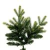 Vickerman Jersey Fraser Fir Artificial Christmas Tree -Outlet Xmas Decor Tree Store GUEST 6c36e652 d2a3 4973 bd85 84ddcb9ae15a