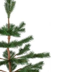 Northlight 3' Ponderosa Pine Artificial Christmas Tree with Jute Base – Unlit -Outlet Xmas Decor Tree Store GUEST 6c681ba5 7bfe 4513 a539 43192913109c