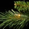 9ft Pre-lit Full Tiffany Fir Artificial Christmas Tree Clear Lights - National Tree Company