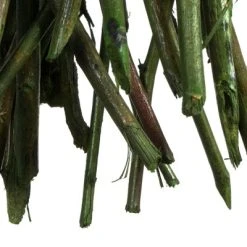 Vickerman 34-40" Moneta Branches, Dried 8oz -Outlet Xmas Decor Tree Store GUEST 700a04e1 6cb6 44a6 8cd0 c06c846fa528