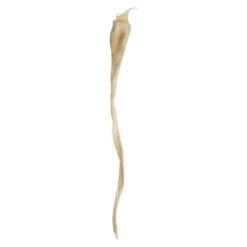 Vickerman 36-38" Sea Kelp, Dried -Outlet Xmas Decor Tree Store GUEST 7071c765 22dd 4dda 9658 5e7cb80e0611