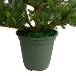 Northlight 6' Unlit Artificial Christmas Tree Potted Noble Pine 9 Northlight 6' Unlit Artificial Christmas Tree Potted Noble Pine -Outlet Xmas Decor Tree Store GUEST 71a5685d 169c 4706 b1aa 17b317f9a63d 1