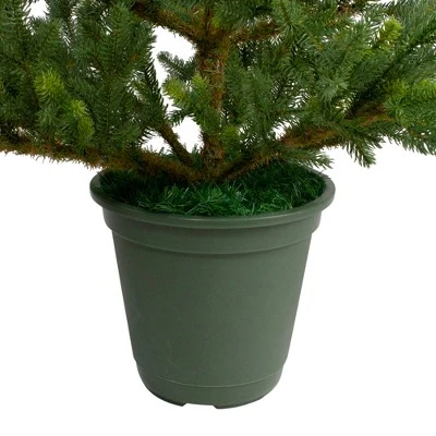 Northlight 6' Unlit Artificial Christmas Tree Potted Noble Pine 6 Northlight 6' Unlit Artificial Christmas Tree Potted Noble Pine - Image 4