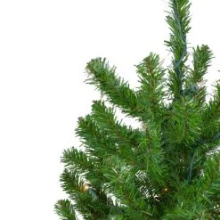 Northlight 4' Pre-Lit Medium Alpine Artificial Christmas Tree - Clear Lights 11 Northlight 4' Pre-Lit Medium Alpine Artificial Christmas Tree - Clear Lights -Outlet Xmas Decor Tree Store GUEST 720e081d f46d 4819 87c5 47d3547b9e3d